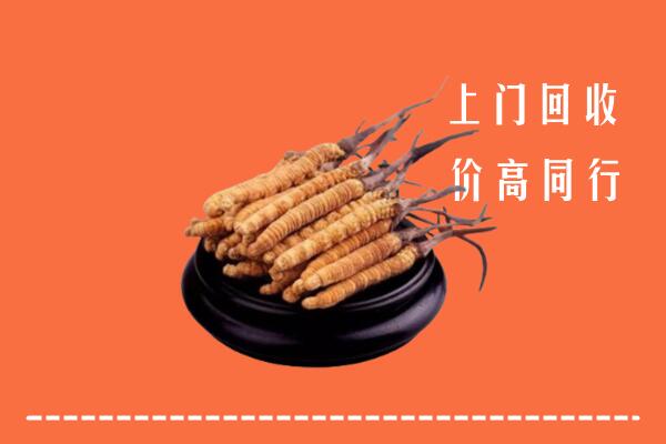 高价求购：泰来县回收散虫草