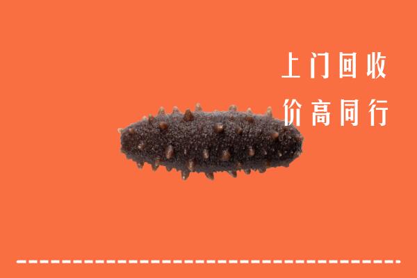 泰来县回收海参