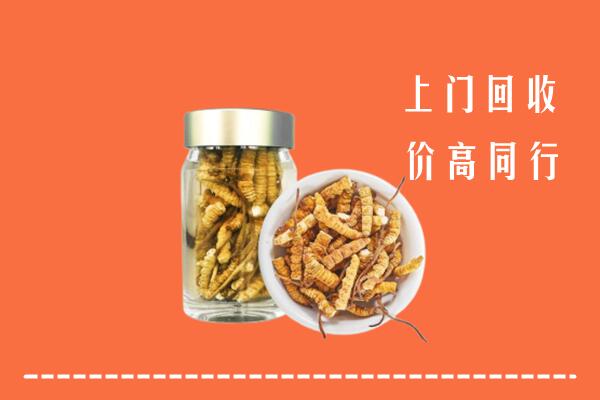 泰来县回收冬虫夏草